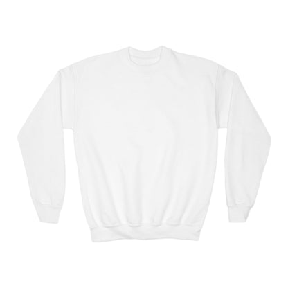 Youth Boy's Medium Heavy Crewneck Sweatshirt *