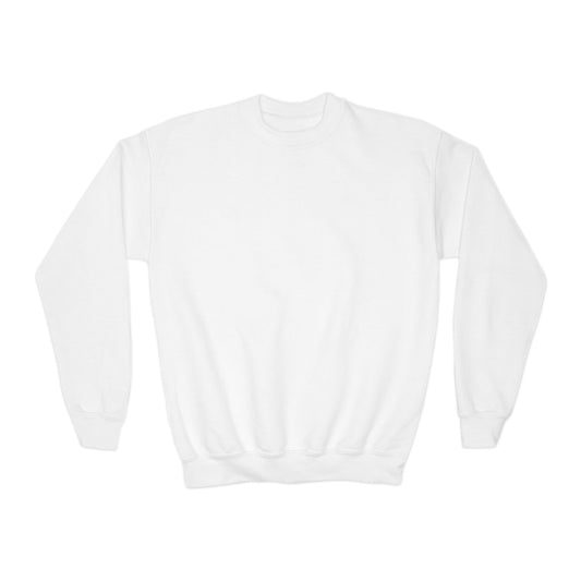 Youth Boy's Medium Heavy Crewneck Sweatshirt *