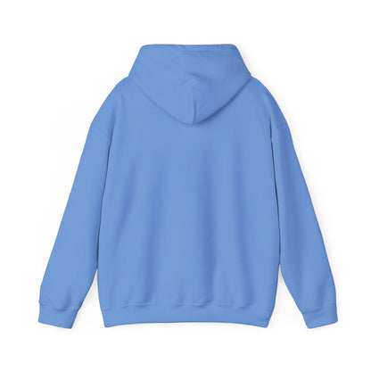 Women's Heavy Blend™ Hooded Sweatshirt