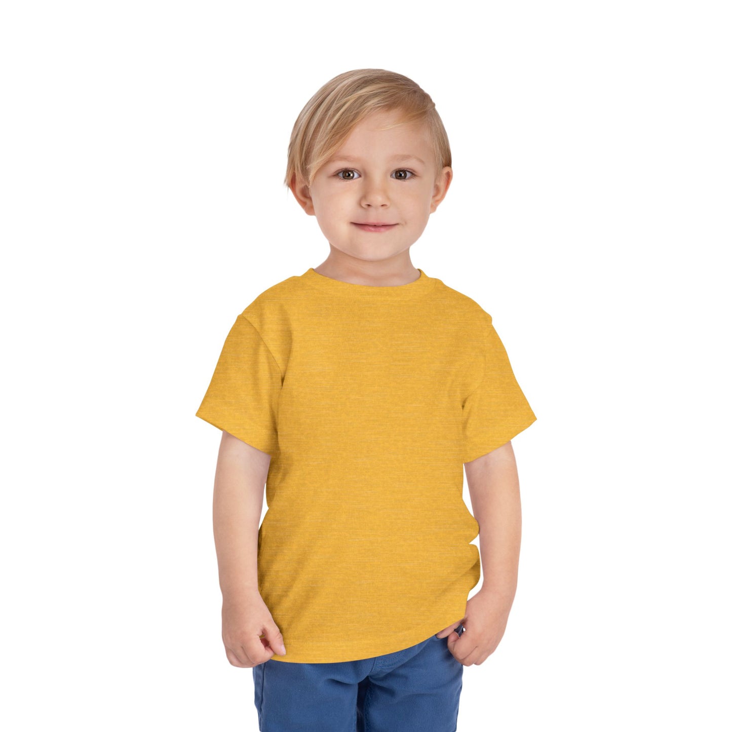 Toddler Boys Short Sleeve T Shirt