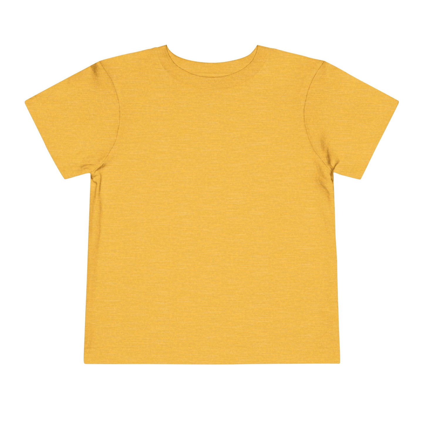 Toddler Boys Short Sleeve T Shirt