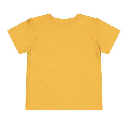 Toddler Boys Short Sleeve T Shirt