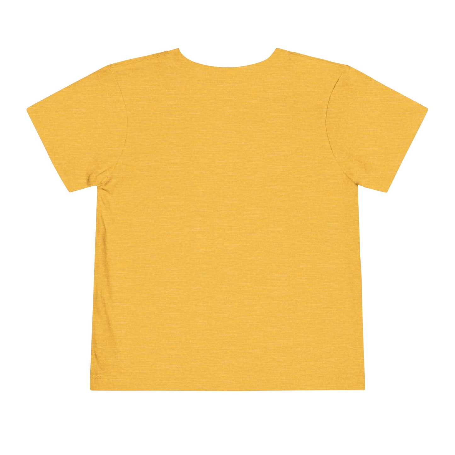 Toddler Boys Short Sleeve T Shirt